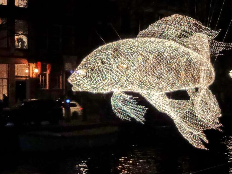 Amsterdam light festival, fish.