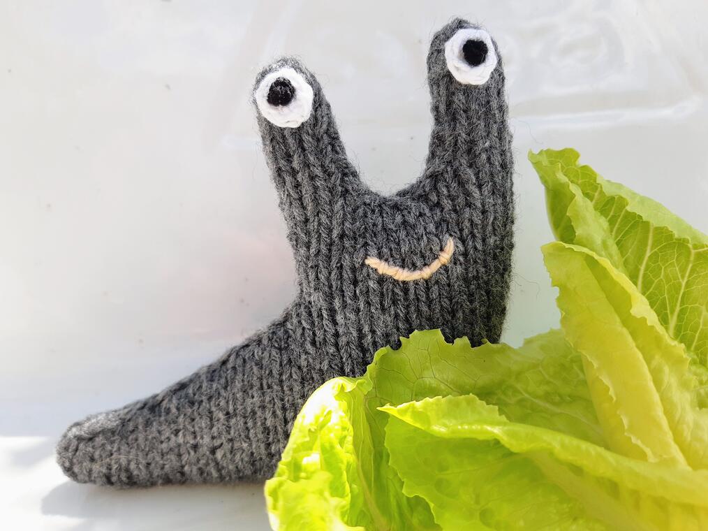 Ian the Slug free knitting pattern