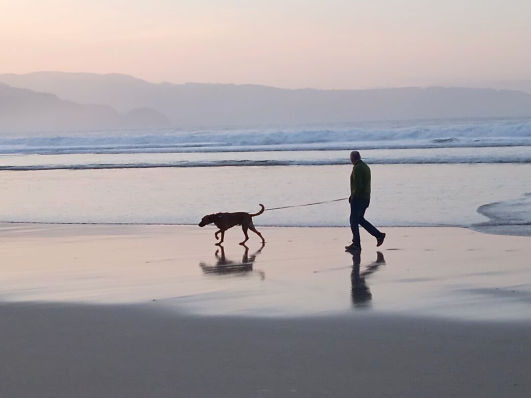 Man walking dog on beach at dusk