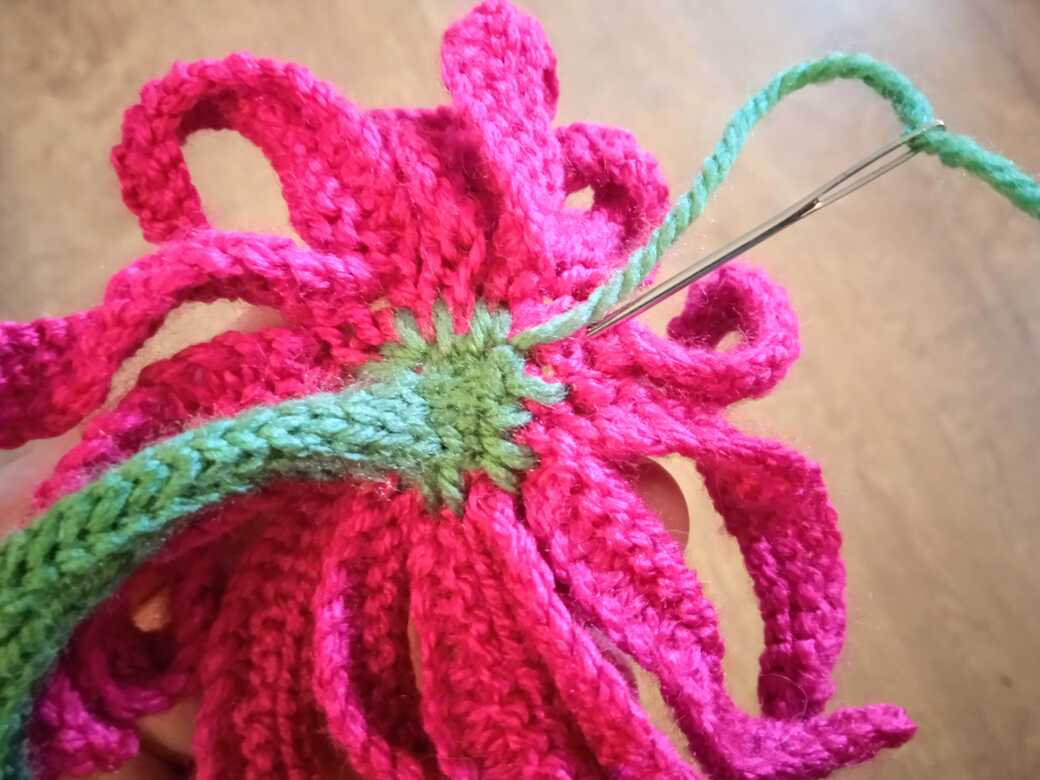 Wall Flowers, knitted flower, receptacle.